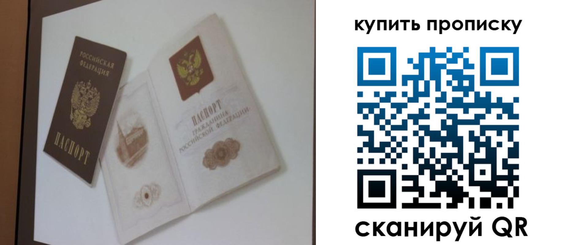 где прописаться в Камышине